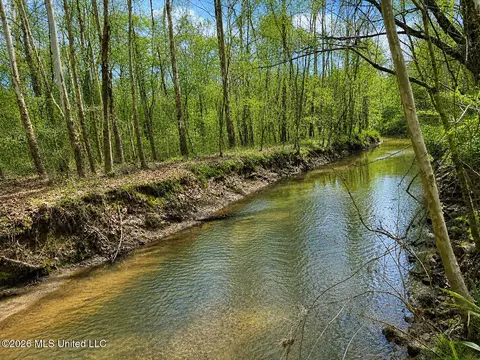 157 Eulogy Rd, Lexington, MS 39095 photo 4