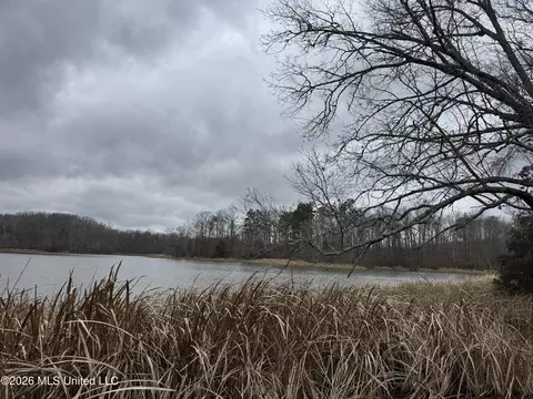 157 Eulogy Rd, Lexington, MS 39095 photo 27