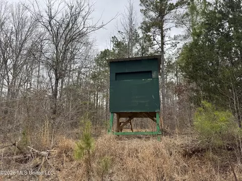 157 Eulogy Rd, Lexington, MS 39095 photo 48