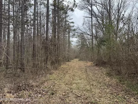 157 Eulogy Rd, Lexington, MS 39095 photo 45