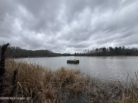 157 Eulogy Rd, Lexington, MS 39095 photo 32
