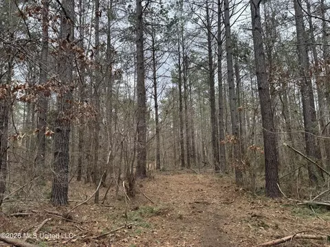 157 Eulogy Rd, Lexington, MS 39095 photo 50