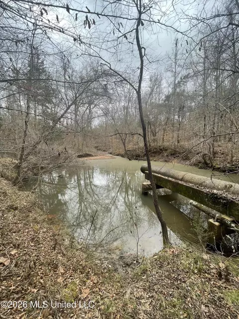 157 Eulogy Rd, Lexington, MS 39095 photo 34