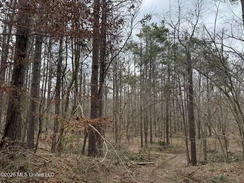 157 Eulogy Rd, Lexington, MS 39095 photo 52