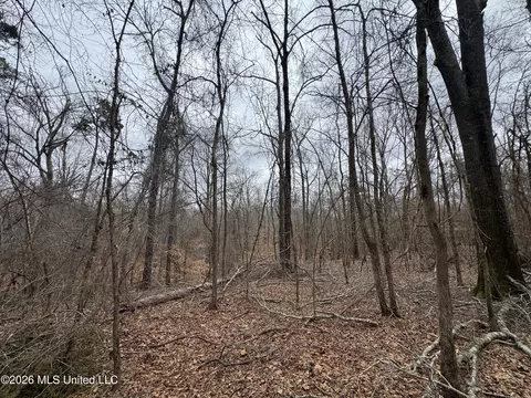 157 Eulogy Rd, Lexington, MS 39095 photo 11