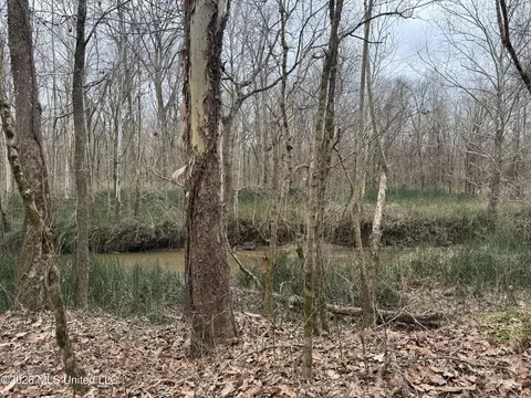 157 Eulogy Rd, Lexington, MS 39095 photo 59