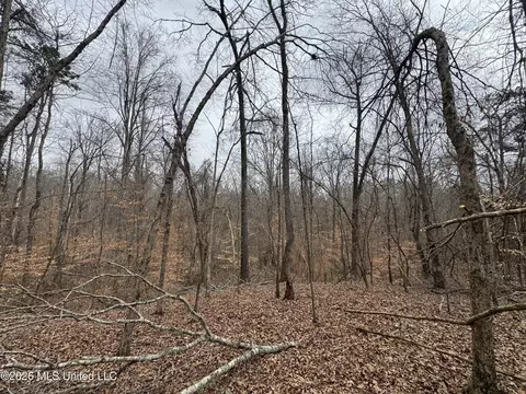 157 Eulogy Rd, Lexington, MS 39095 photo 12