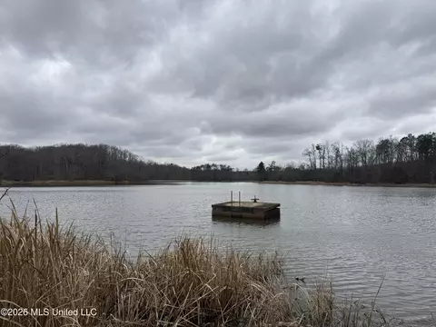 157 Eulogy Rd, Lexington, MS 39095 photo 30