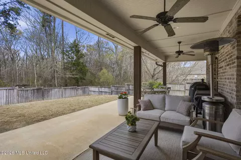 Exterior - 110 Brisco St, Madison, MS 39110 photo 4 of 6