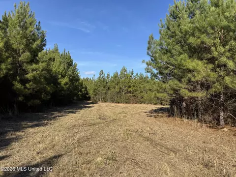 254 Mississippi 27, Tylertown, MS 39667