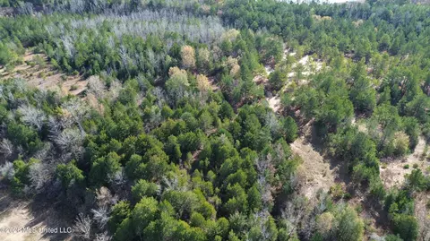 E U.s. 49, Bentonia, MS 39040 photo 19