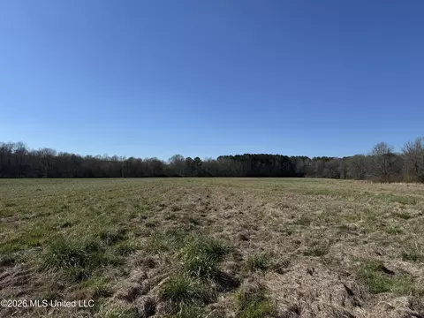 29 Sontag-nola Rd, Sontag, MS 39665