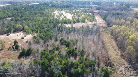Us 49, Bentonia, MS 39040 photo 3