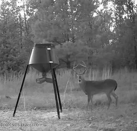 Us 49, Bentonia, MS 39040 photo 18