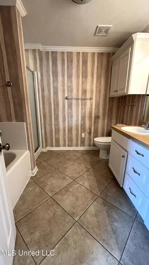 Bath - 205 Edge Water Branch Dr, Brandon, MS 39042 photo 2 of 6