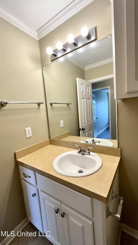 Other - 205 Edge Water Branch Dr, Brandon, MS 39042 photo 7 of 12