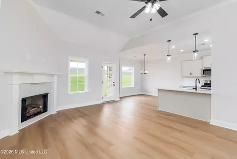 Other - 7605 John Elliott Ln, Hernando, MS 38632 photo 4 of 25