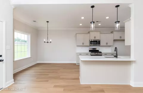 Other - 7605 John Elliott Ln, Hernando, MS 38632 photo 6 of 25