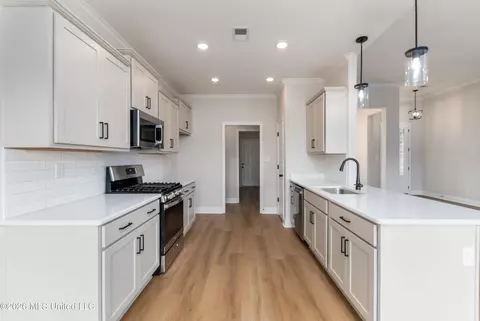 Other - 7605 John Elliott Ln, Hernando, MS 38632 photo 7 of 25