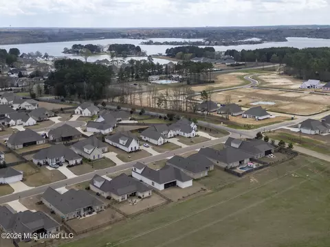 View/Area - 109 Bridgewater Loop, Madison, MS 39110 photo 3 of 5