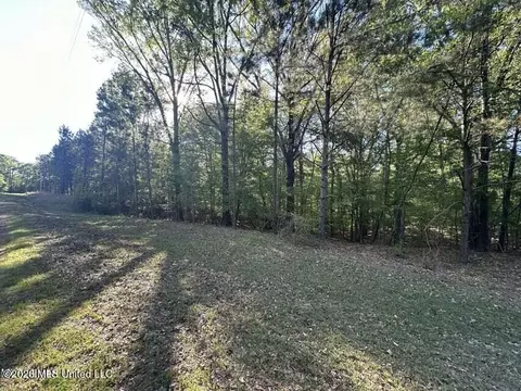 1660 Askew Rd, Edwards, MS 39066 photo 18