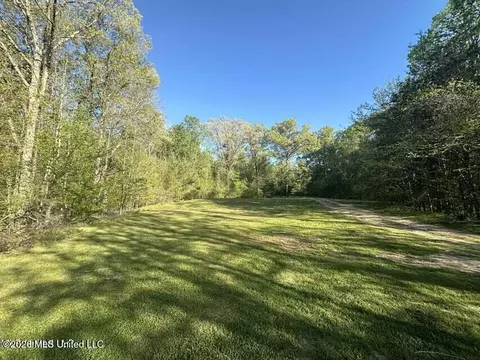 1660 Askew Rd, Edwards, MS 39066 photo 13