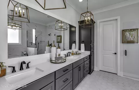 Bath - 200 Herons Bay Cir, Madison, MS 39110 photo 4 of 10