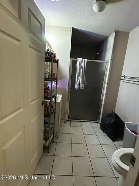 Bath - 504 Parker Dr, Byram, MS 39272 photo 2 of 6