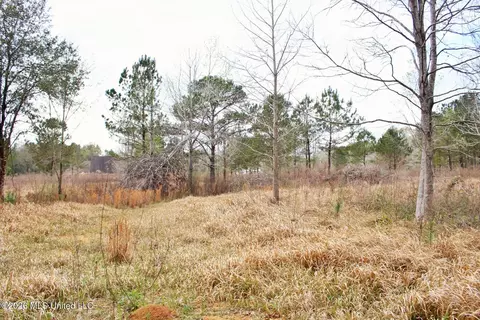 4 63ac White Rd, Lucedale, MS 39452 photo 8