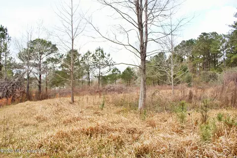 4 63ac White Rd, Lucedale, MS 39452 photo 7