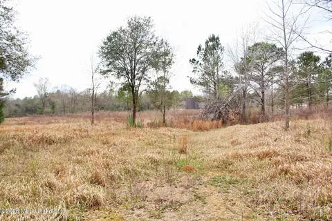 4 63ac White Rd, Lucedale, MS 39452 photo 2