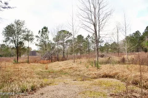 4 63ac White Rd, Lucedale, MS 39452 photo 3