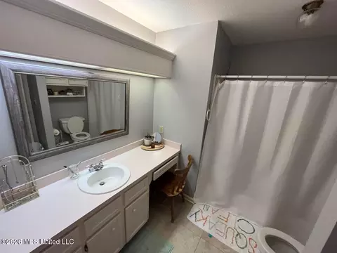 Bath - 307 Warwick Rd, Clinton, MS 39056 photo 6 of 7