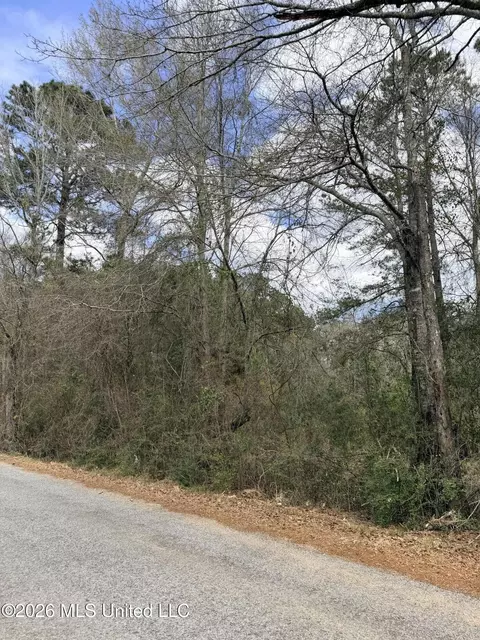 tbd Joel Lang Rd, Mccomb, MS 39648 photo 2