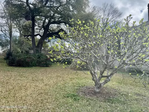 Exterior - 403 N Union St, Natchez, MS 39120 photo 12 of 14