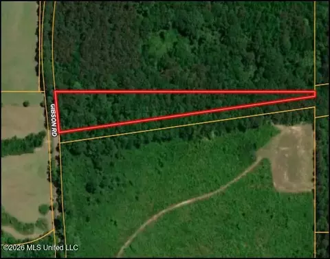 03 Gibson Rd, Mccomb, MS 39648 photo 2
