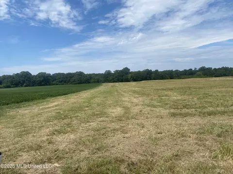 Leesburg Road, Pelahatchie, MS 39145