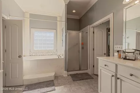 Bath - 122 Windsor Blvd, Brandon, MS 39042 photo 8 of 11