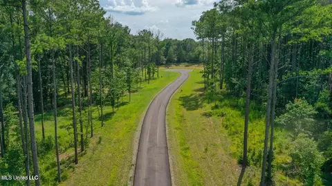 Springwood Trail, Flora, MS 39071