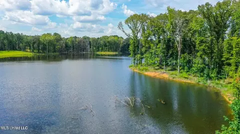 Springwood Trail, Flora, MS 39071 photo 6