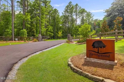 Springwood Trail, Flora, MS 39071 photo 9