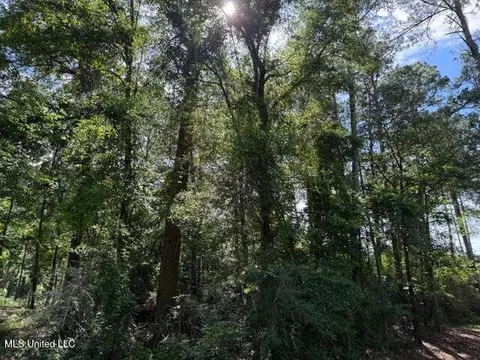 2 Acres Hwy 49, Collins, MS 39428 photo 5