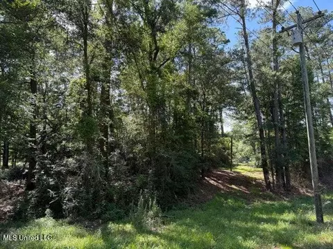 2 Acres Hwy 49, Collins, MS 39428 photo 4
