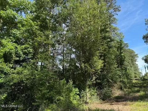 2 Acres Hwy 49, Collins, MS 39428 photo 6