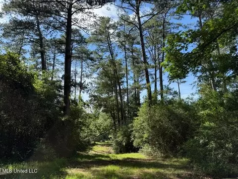2 Acres Hwy 49, Collins, MS 39428 photo 3