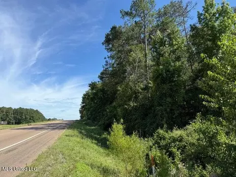 2 Acres Hwy 49, Collins, MS 39428 photo 2