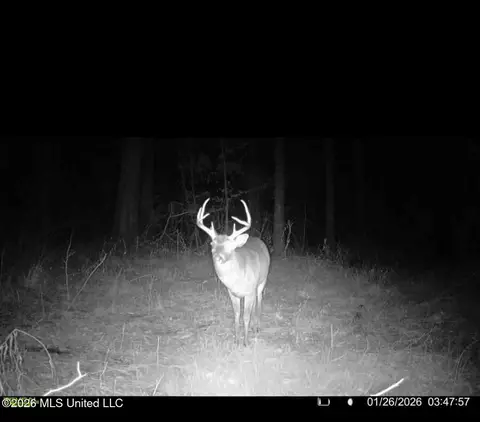 Other - 1758 Highway 471, Brandon, MS 39047 photo 16 of 18