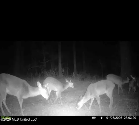 Other - 1758 Highway 471, Brandon, MS 39047 photo 15 of 18