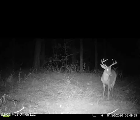 Other - 1758 Highway 471, Brandon, MS 39047 photo 17 of 18