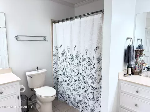 Bath - 143 Azalea Cir, Madison, MS 39110 photo 1 of 3